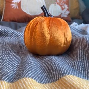Fall decor velvet pumpkin